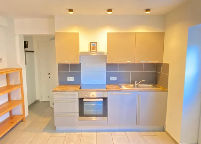 Apartment La Petite Boite *